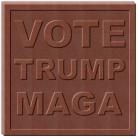 VOTE TRUMP MAGA CHOCOLATE MOLD